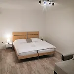 Apartment Vehlovice *